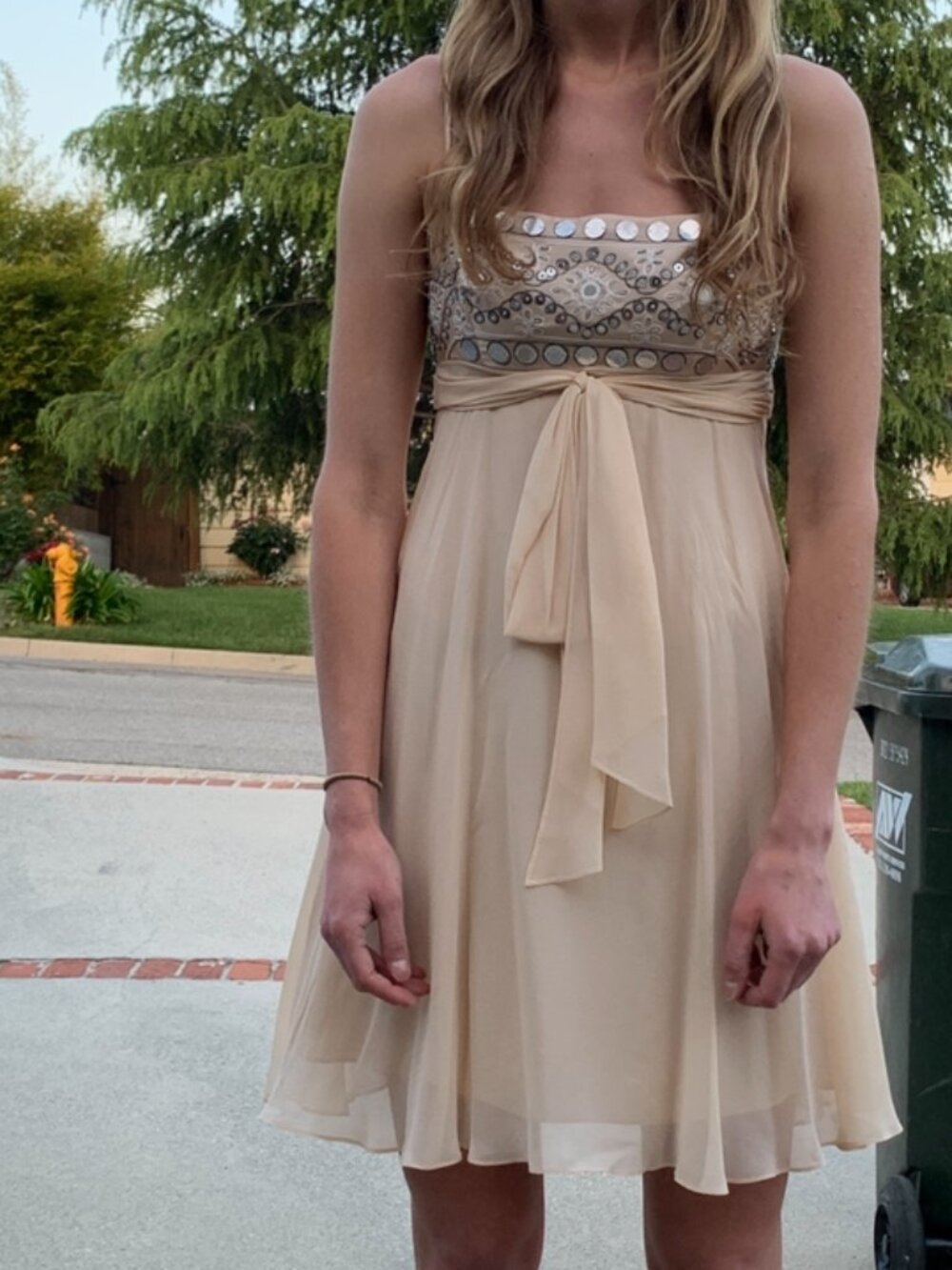 BCBG Maxazria Nude Cream Empire Waist Silk Sequin Spaghetti Strap Dress Size 2